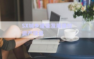 SX城鄉(xiāng)建設(shè)發(fā)展債權(quán)資產(chǎn)項目