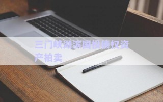 三門峽湖濱國投債權(quán)資產(chǎn)拍賣