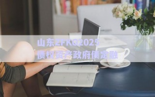 山東ZFKG2025債權(quán)資產(chǎn)政府債定融 山東ZFKG2025債權(quán)資產(chǎn)政府債定融