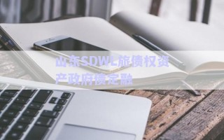 山東SDWL旅債權資產政府債定融