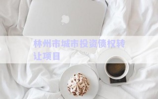 林州市城市投資債權(quán)轉(zhuǎn)讓項(xiàng)目
