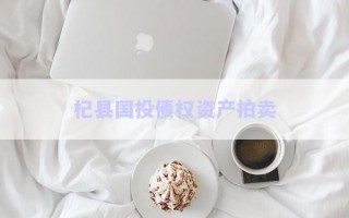 杞縣國投債權(quán)資產(chǎn)拍賣
