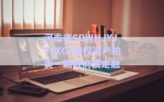 河南省SDWHJYJTYXGS債權(quán)資產(chǎn)拍賣(mài)一期政府債定融