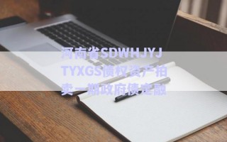 河南省SDWHJYJTYXGS債權(quán)資產(chǎn)拍賣(mài)一期政府債定融