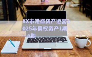 XX市港盛資產(chǎn)運營2025年債權資產(chǎn)1期—6期