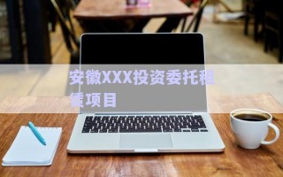 安徽XXX投資委托租賃項(xiàng)目 安徽XXX投資委托租賃項(xiàng)目