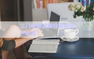三門峽湖濱國投債權(quán)資產(chǎn)拍賣