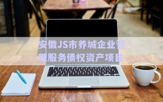 安徽J(rèn)S市養(yǎng)城企業(yè)管理服務(wù)債權(quán)資產(chǎn)項目