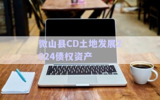 微山縣CD土地發(fā)展2024債權(quán)資產(chǎn) 微山縣CD土地發(fā)展2024債權(quán)資產(chǎn)