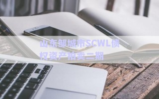 山東鄒城市SCWL債權(quán)資產(chǎn)拍賣(mài)二期 山東鄒城市SCWL債權(quán)資產(chǎn)拍賣(mài)二期