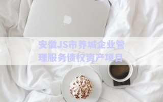 安徽J(rèn)S市養(yǎng)城企業(yè)管理服務(wù)債權(quán)資產(chǎn)項目