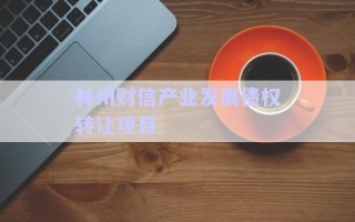 林州財(cái)信產(chǎn)業(yè)發(fā)展債權(quán)轉(zhuǎn)讓項(xiàng)目