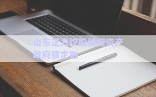 山東正方控股債權(quán)資產(chǎn)政府債定融