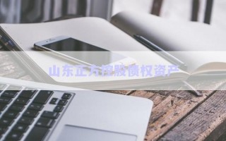 山東正方控股債權(quán)資產(chǎn)