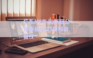 廣東HY市JD新區(qū)公用事業(yè)2025債權(quán)收益權(quán) 廣東HY市JD新區(qū)公用事業(yè)2025債權(quán)收益權(quán)