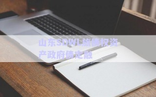 山東SDWL旅債權(quán)資產(chǎn)政府債定融