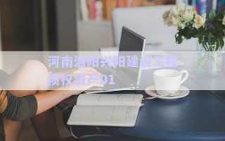 河南洛陽興陽建設(shè)工程債權(quán)資產(chǎn)01