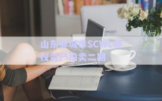 山東鄒城市SCWL債權(quán)資產(chǎn)拍賣二期 山東鄒城市SCWL債權(quán)資產(chǎn)拍賣二期
