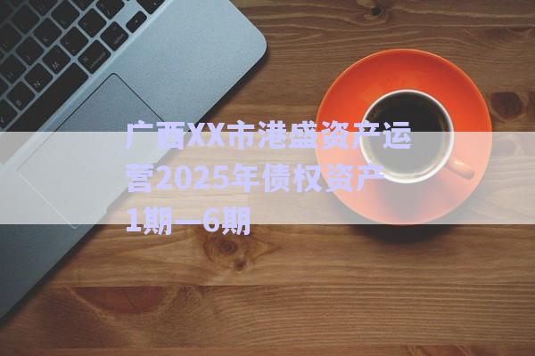 廣西XX市港盛資產(chǎn)運營2025年債權(quán)資產(chǎn)1期—6期-第1張圖片-政信固收網(wǎng)