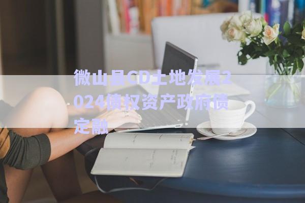 微山縣CD土地發(fā)展2024債權資產政府債定融-第1張圖片-政信固收網