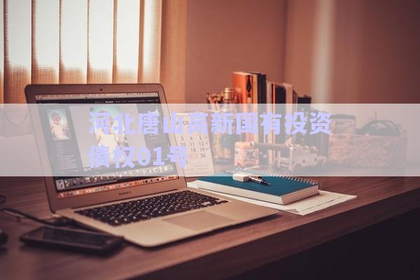 河北唐山高新國有投資債權01號-第1張圖片-政信固收網(wǎng)