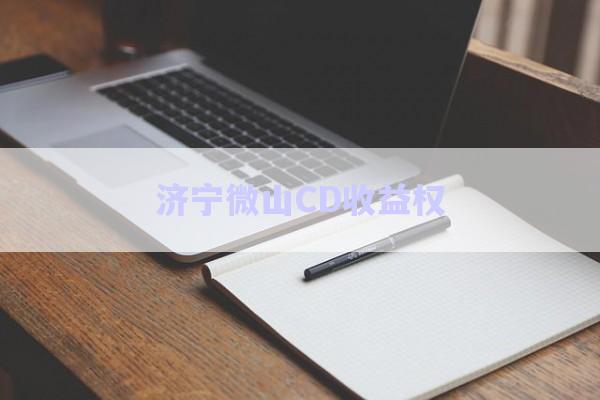 濟(jì)寧微山CD收益權(quán)-第1張圖片-政信固收網(wǎng)