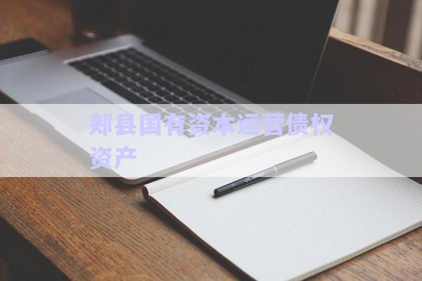 郟縣國有資本運(yùn)營(yíng)債權(quán)資產(chǎn)-第1張圖片-政信固收網(wǎng)