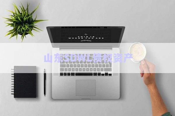 山東SDWL債權資產-第1張圖片-政信固收網(wǎng)