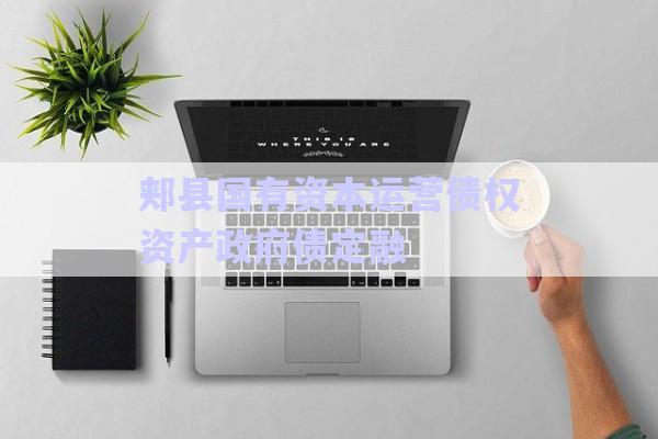 郟縣國有資本運(yùn)營債權(quán)資產(chǎn)政府債定融-第1張圖片-政信固收網(wǎng)