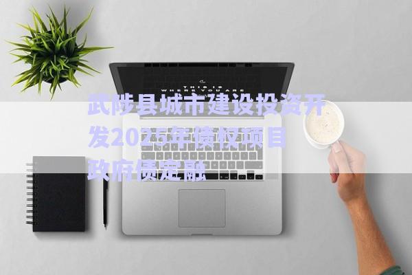 武陟縣城市建設(shè)投資開(kāi)發(fā)2025年債權(quán)項(xiàng)目政府債定融-第1張圖片-政信固收網(wǎng)
