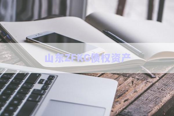 山東ZFKG債權(quán)資產(chǎn)-第1張圖片-政信固收網(wǎng)